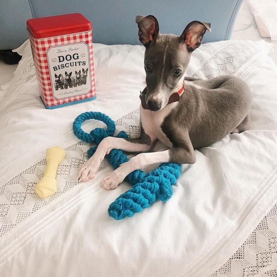 Harry Barker Anchor-Knotted Cotton Rope Toy Clearance