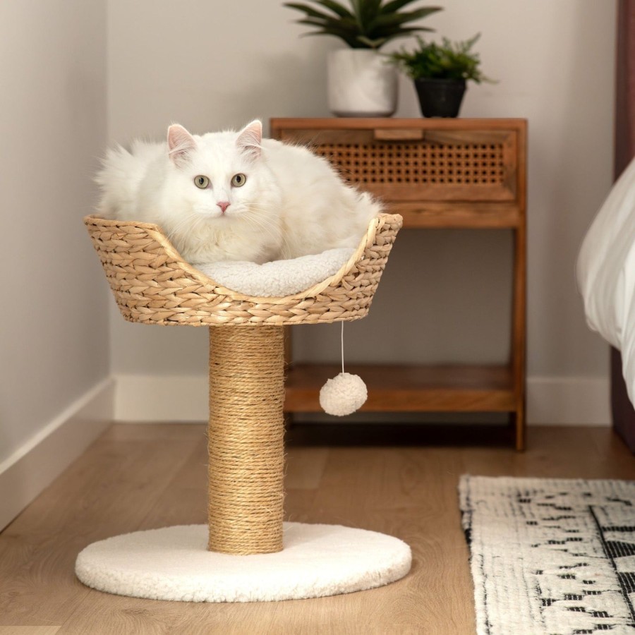 Harry Barker Cat Scratching Post With Wicker Bed Best