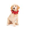 Harry Barker Jingle Bell Collar Online