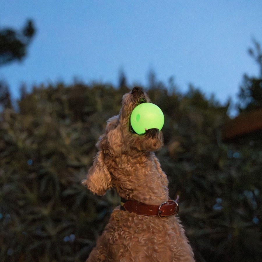 Harry Barker Glow In The Dark Fetch Ball 2-Pack Best