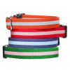 Harry Barker Eton Dog Collar Online