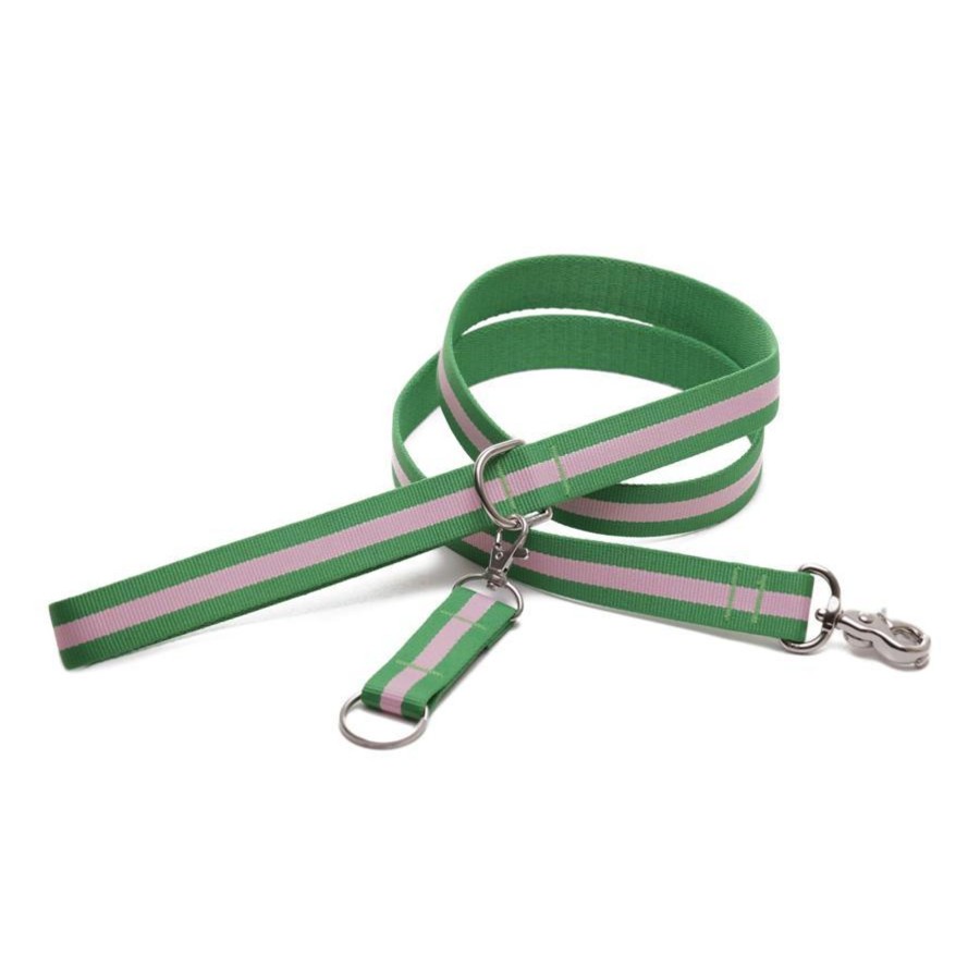 Harry Barker Eton Dog Leash Online