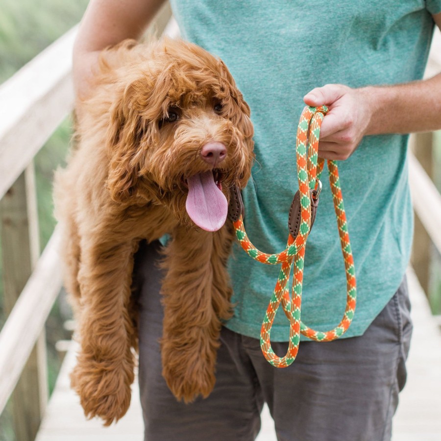 Harry Barker Plaid Rope Dog Leash Clearance