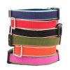 Harry Barker Chelsea Dog Collar Clearance