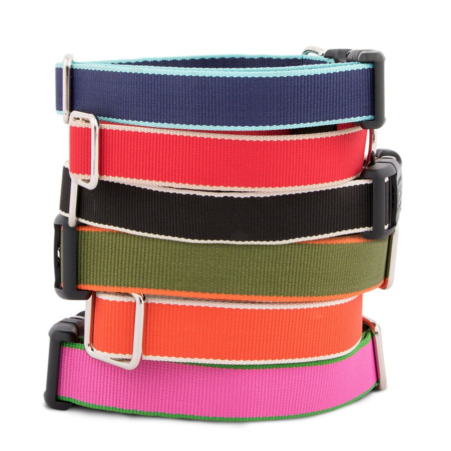 Harry Barker Chelsea Dog Collar Clearance